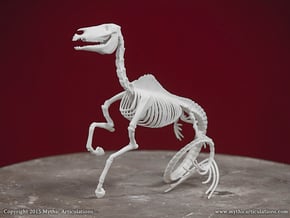 Hippocampus Skeleton in White Natural Versatile Plastic