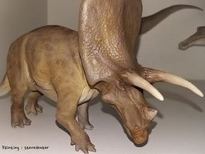 Torosaurus (Medium/Large size) in White Natural Versatile Plastic: Medium