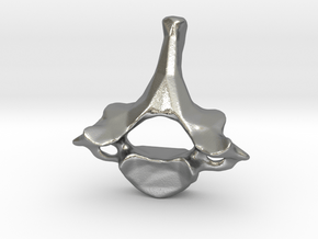 Neck vertebra - C7 in Natural Silver