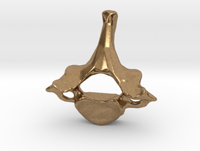 Neck vertebra - C7 in Natural Brass