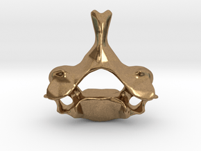 Neck Vertebra - C5 in Natural Brass