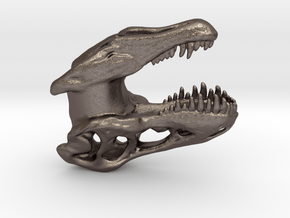Tyrannosaurus T-rex Ear Weights in Polished Bronzed Silver Steel