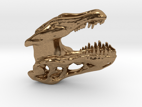 Tyrannosaurus T-rex Ear Weights in Natural Brass