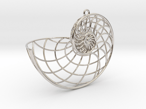 Nautilus Pendant in Platinum