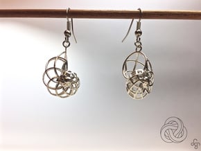 Conchoid Earrings in Polished Silver