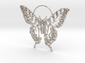 Butterfly 2 in Rhodium Plated Brass