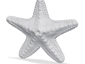 Starfish paperweight in Tan Fine Detail Plastic