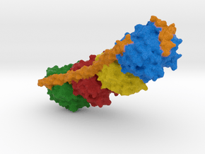 Microtubule in Full Color Sandstone