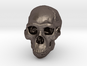 Lanyard : Real Skull (Homo erectus) in Polished Bronzed Silver Steel