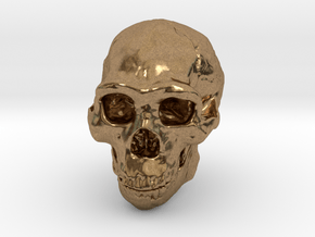 Lanyard : Real Skull (Homo erectus) in Natural Brass