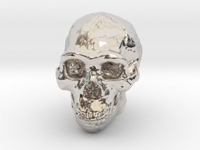 Lanyard : Real Skull (Homo erectus) in Rhodium Plated Brass
