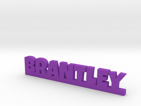 BRANTLEY Lucky in Purple Processed Versatile Plastic