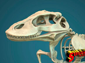 Komodo Craneus and Neck Skeleton 1:5 Scale in White Natural Versatile Plastic