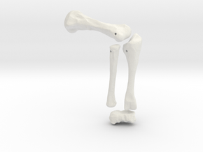 Komodo Left Leg Front 1:5 Scale in White Natural Versatile Plastic