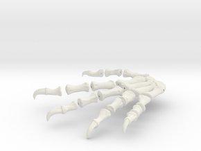 Komodo Rigth Foot Back 1:5 Scale in White Natural Versatile Plastic