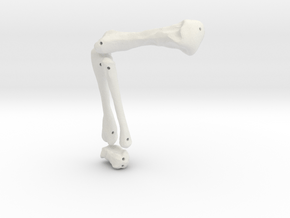 Komodo Rigth Leg Front 1:5 Scale in White Natural Versatile Plastic