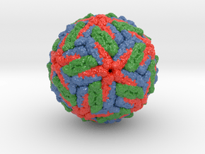 Dengue Virus in Glossy Full Color Sandstone: Small