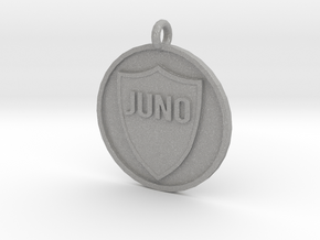 Juno's Pet Tag in Aluminum