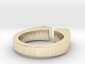Lacuna (9) in 14k Gold Plated Brass