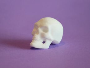 3D Printed Skull - Small in White Processed Versatile Plastic
