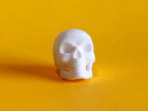 3D Printed Skull - Large in White Processed Versatile Plastic