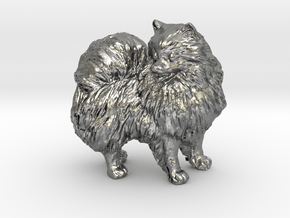 Custom Pomeranian Dog in Natural Silver