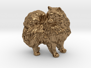 Custom Pomeranian Dog in Natural Brass