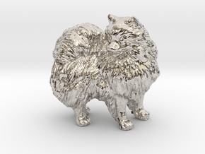 Custom Pomeranian Dog in Rhodium Plated Brass