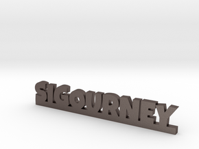 SIGOURNEY Lucky in Polished Bronzed Silver Steel