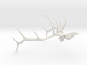 Euro Bull Elk, JB in White Natural Versatile Plastic