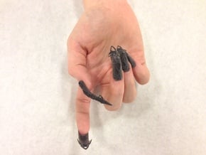 Castle Nails (Size 1) in Black Natural Versatile Plastic
