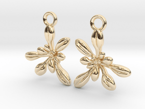 Arabidopsis Rosette Earrings  in 14k Gold Plated Brass