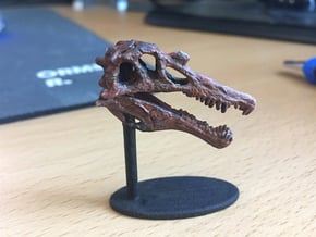 Spinosaurus Skull in White Natural Versatile Plastic: Small