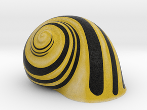 Snail Shell Yellow in Full Color Sandstone