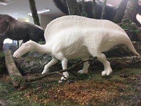 Ouranosaurus (Medium/Large size) in White Natural Versatile Plastic: Medium