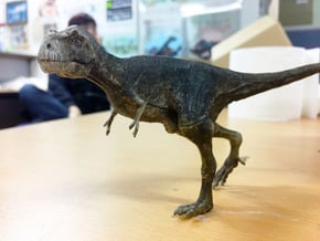 Gorgosaurus (Small/Medium size) in White Natural Versatile Plastic: Small