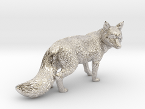 Fox in Platinum