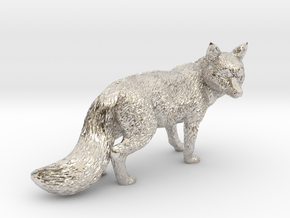 Fox in Rhodium Plated Brass