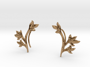 Tea Leaves Ear Climber in Polished Brass