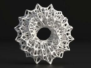 Möbius Net in White Natural Versatile Plastic