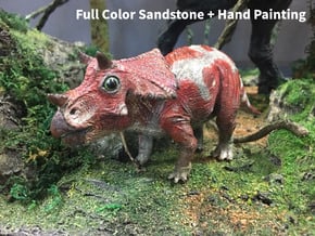 Triceratops Baby(Small/Medium-color size) in Full Color Sandstone: Medium