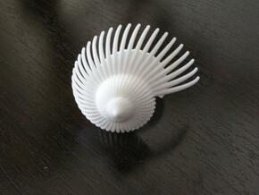 Fractal Conch -2 in White Natural Versatile Plastic