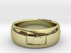 Photography Ring in 18k Gold Plated Brass