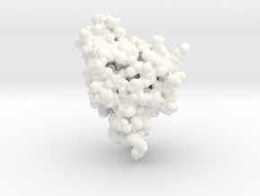 G Protein Bound by GTP in White Processed Versatile Plastic: Medium