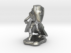 Human Paladin in Plate with Sword and Shield in Natural Silver