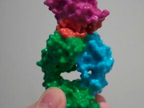 Antibody Fab and Antigen molecule in Full Color Sandstone