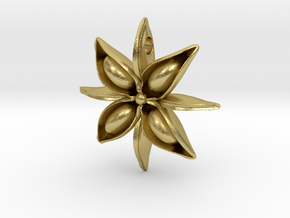 Anise Pendant in Natural Brass