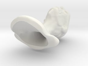 Arex Head 1:6 scale in White Natural Versatile Plastic