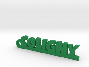 COLIGNY Keychain Lucky in Green Processed Versatile Plastic