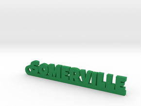 SOMERVILLE Keychain Lucky in Natural Silver
